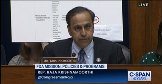 Raja Krishnamoorthi