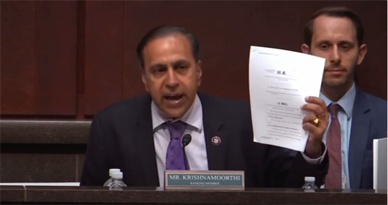Raja Krishnamoorthi