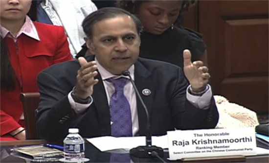 Raja Krishnamoorthi